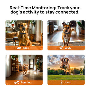 Le plus récent 3280ft Pet <span class=keywords><strong>Training</strong></span> <span class=keywords><strong>Shock</strong></span> Anti <span class=keywords><strong>Dog</strong></span> No Bark Collar <span class=keywords><strong>Dog</strong></span> <span class=keywords><strong>Shock</strong></span> Collar avec collier de dressage de chien à distance - Product Image 6