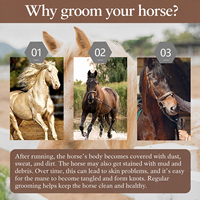 Brosse pour animaux de compagnie, peigne à poils de cheval, brosse à gratter pour chevaux, outil de démêlage, brosses pour le toilettage des chevaux