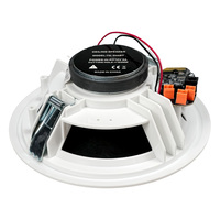 Système d'amplification audio haut de gamme avec enceintes de plafond murales passives de 6 pouces, Bluetooth et Wi-Fi pour sonorisation publique