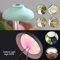 Lampe LED pour plantes avec minuteur, 4000K, 5W, USB, hauteur réglable 212-710mm, pour décoration intérieure et jardinage, OEM disponible