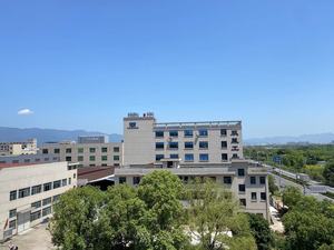 Tabla de ejercicios de pelota ecológica, tabla de ejercicios de <span class=keywords><strong>equilibrio</strong></span> ecológica de Pvc de 58cm - Product Image 6