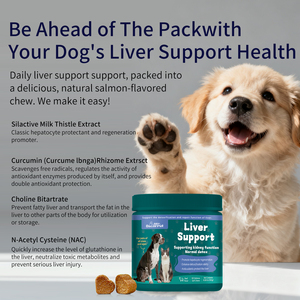 Cardo de leche OEM masticables para perros, soporte hepático para hígado y riñón con desintoxicación, suplemento hepático con Colina y L-arginina - Product Image 2