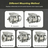 Moteur à induction monophasé à double condensateur série YL haute efficacité 4KW 5.5HP 2 pôles 220V 50Hz 60Hz 2850 tr/min pour souffleur
