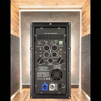 Module d'amplificateur de puissance 1000 Watts, classe D, amplificateur actif pour enceintes de karaoké et studios