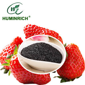 خلاصة الأعشاب البحرية العضوية بحمض الألجنيك العالي للتربة والاستخدام الورقي - Product Image 3