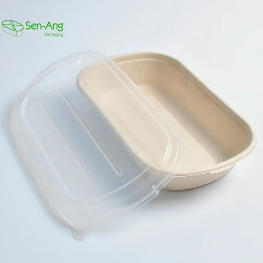 SenAng Best Selling Food Container Biodegradable Out Go 1000Ml Takeaway Bento Sugarcane Pulp 2 Compartment Lunch Box With Lid