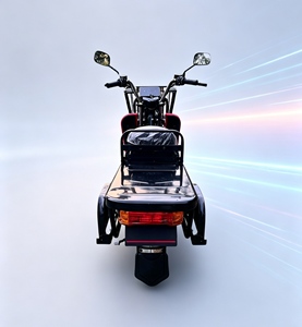 <span class=keywords><strong>Vélo</strong></span> cargo électrique à <span class=keywords><strong>2</strong></span> roues, moteur 1500W, batterie lithium 72V 32Ah, frein à disque, <span class=keywords><strong>porte</strong></span>-bagages en fer, <span class=keywords><strong>pour</strong></span> livraison de nourriture, <span class=keywords><strong>vélo</strong></span> de ville - Product Image 5