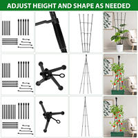 Obélisque multifonctionnel pour plantes de jardin Cadre de croissance vertical pour tir à l'arc Treillis de plantation creux Étagères d'escalade durables pour plantes