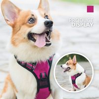 Harnais de gilet pour animaux de compagnie à boucle de sécurité Offre Spéciale harnais de chien en Nylon réglable réfléchissant sans harnais de traction pour la marche de chien en plein air