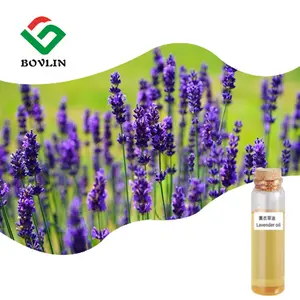 Organic Bulk Price Lavender Fragrance Massage Oil Lavender Essential Oil