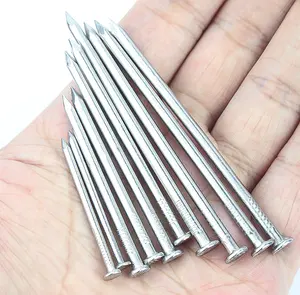 China Factory Price Stainless Steel Flat Head Common Nails Iron Large Iron Spike Wire Steel Nails