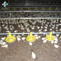 Maison de construction de ferme de poulet de hangar de volaille de conception moderne à faible coût pour 10000 bâtiments de couche d'oeufs de cage de poulets à vendre