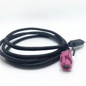 D4K10A-1D5A5-H HSD Rose Femelle à USB Type C LVDS Câble D'extension 100CM pour Voiture