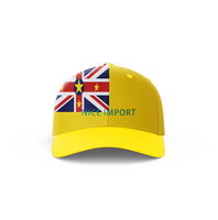 Casquette de baseball avec drapeau du Nigeria pour hommes et femmes, design réglable, idéale pour la randonnée, les voyages, la marche, le camping et les activités de plein air