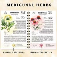 Cahiers à spirales personnalisables avec logo, impression en gros pour promotion de cadeaux, papier coloré, guide médical à base de plantes
