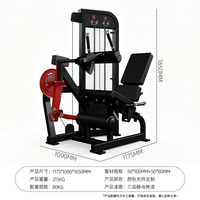 Machine Combinée Professionnelle de Musculation des Jambes (Extension et Curl) Réglable, Robuste, Double Fonction, pour Entraînement du Bas du Corps, Équipement de Fitness pour Salle de Sport