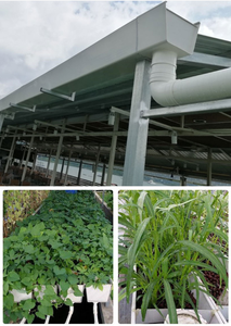 Gouttière d'eau de pluie en PVC anti-corrosion de grande taille à prix avantageux pour les serres agricoles - Product Image 4