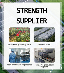 Thé anti-acné <span class=keywords><strong>pour</strong></span> une <span class=keywords><strong>peau</strong></span> claire, aux herbes naturelles et biologiques, <span class=keywords><strong>pour</strong></span> éliminer l'acné et contrôler le sébum, en sachet <span class=keywords><strong>de</strong></span> thé <span class=keywords><strong>pour</strong></span> soins <span class=keywords><strong>de</strong></span> <span class=keywords><strong>la</strong></span> <span class=keywords><strong>peau</strong></span> - Product Image 4