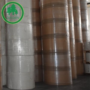 Food Grade Cupstock Paper Jumbo Roll Raw Material for Food Packaging - Product Image 3