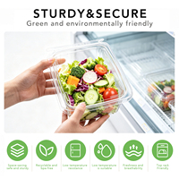 Herbruikbare vierkante PET-embossed clamshell saladebox met scharnierend deksel, transparante wegwerp voedselcontainer, geperst patroon, food grade
