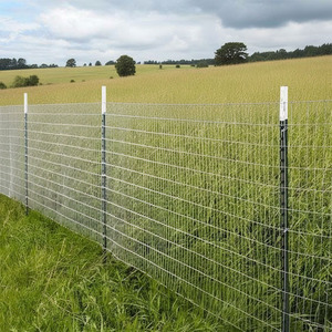 Studded <span class=keywords><strong>T</strong></span> Bài 6 Ft 8 Ft 10 Ft Thép Mạ Kẽm Hàng Rào Bài Nhiệm Vụ Nặng Nề Màu Xanh Lá Cây <span class=keywords><strong>T</strong></span> Bài Cho USA Trang Trại Vườn Và Nông Nghiệp Hàng Rào - Product Image 4