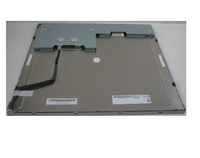 G190ETN01.601 Moniteur LCD 1024*600 Écran LCD Tft Lcd à cristaux liquides Écran LCD TFT 19 pouces