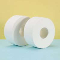 Papier toilette en rouleau jumbo 2 plis, doux et résistant, en pâte de bois vierge, écologique, vente en gros, OEM, 12 rouleaux, usage commercial