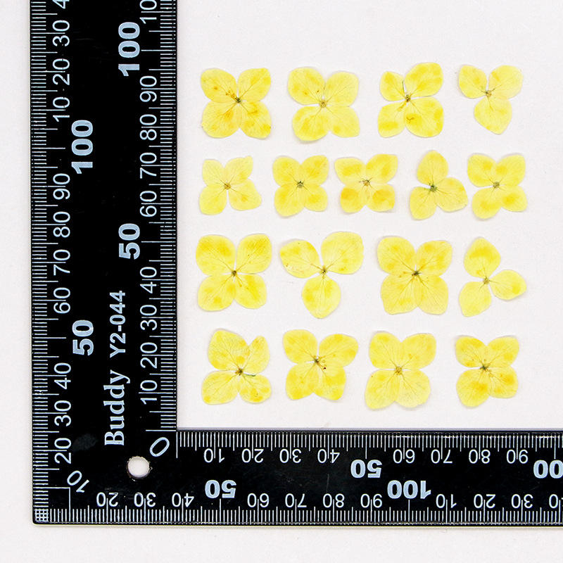 Lemon yellow  12pcs/bag