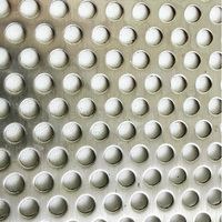 Tôle perforée polyvalente en acier inoxydable/acier au carbone, plaque tamis à formes de trous variées (rondes/carrées/fentes)