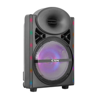 Speaker Trolley YE-12 12 Inch Isi Ulang Daya, Lampu LED RGB, Speaker Karaoke Pesta Dengan Dua Mikrofon Nirkabel Untuk Luar Ruangan