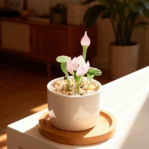 Décoration de bureau, artisanat <span class=keywords><strong>en</strong></span> verre fait main, ornements, plantes succulentes dans des pots <span class=keywords><strong>en</strong></span> verre, plantes vertes, cadeaux floraux pour la fête des mères, décembre - Product Image 6