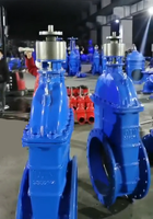 Vanne à opercule en fonte ductile avec siège en acier et corps en fonte