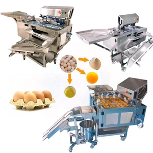 Machine à casser les œufs, <span class=keywords><strong>prix</strong></span> de la machine à briser les œufs, briseur d'œufs liquides pasteurisés - Product Image 1