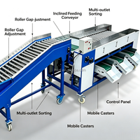 Automatische fruit sorteermachine met hefband, hoge nauwkeurigheid voor boerderijen en exportverpakkingsbedrijven