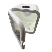 Sèche-cheveux automatique pour animaux de compagnie, vente chaude en usine, sèche-cheveux intelligent pour toilettage des chiens, machine à sécher les animaux de compagnie avec grande capacité