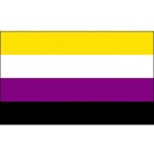 17Non-binary Flag