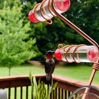 Mangeoire à colibris artisanale en verre et cuivre pour fenêtre, mangeoire à oiseaux géométrique murale avec ventouses, cadeau unique pour les amoureux des oiseaux