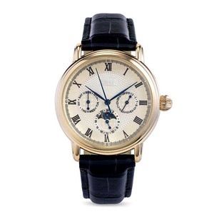 Reloj de Hombre con Caja de Oro Fundido, Logotipo Personalizado, Mecánico Automático, Esfera con Números Romanos, Fondo Transparente, Reloj de Pulsera para Hombre - Product Image 1