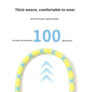 Beliebte feste Muster Nylon geflochtene P-Kette Hund Wanders eil Leine Modestil Explosions geschützte Hunde leine - Product Image 3