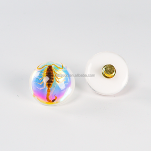 Especímen de Resina de Insecto, Taxidermia de Hormiga, Artesanía de Resina, Pin de Especímen Animal, Regalo de Halloween, Juguete de Resina Epoxi, <span class=keywords><strong>Insectos</strong></span> Taxidermizados - Product Image 5