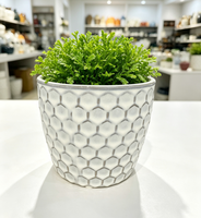 Pot Tanaman Stoneware untuk Dalam Ruangan dengan Drainase, Finishing Sarang Lebah Putih Distress untuk Rumah dan Kantor Modern