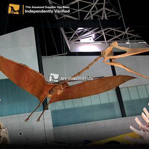 My Dino DS024 - <span class=keywords><strong>Esqueleto</strong></span> de Pterodáctilo Volador Realista para Decoración de Parques Temáticos de Diversión, en Venta - Product Image 5