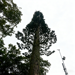 Tùy chỉnh 30m <span class=keywords><strong>Bionic</strong></span> thông Viễn Thông tháp với gió kháng 5G Antenna che giấu chiều cao tùy chỉnh - Product Image 5
