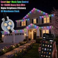 Vente en gros toute l'année, lumières ponctuelles permanentes pour la maison 12V 24V 36V Rgbw, 30mm Ucs2904, décoration extérieure de la toiture, lumières de Noël