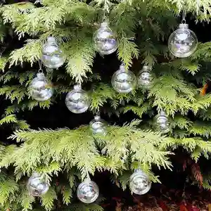 Fournisseur Vente en gros Cadeau de Noël personnalisé Boule de verre transparente Ornement arbre suspendu Décoration fête Noël Boules de verre