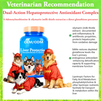AINA Pets Comprimés pour la Santé du Foie et le Soutien Immunitaire Chiens Chats Sans Céréales Toutes Races Complexe de Vitamines B Silymarine S-Adénosylméthionine