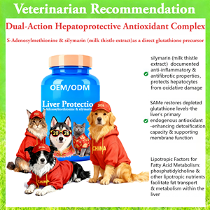 AINA Pets Tabletas para la Salud del Hígado y el Sistema Inmunitario para <span class=keywords><strong>Perros</strong></span> y Gatos - <span class=keywords><strong>Complejo</strong></span> de Vitamina <span class=keywords><strong>B</strong></span>, Silimarina, S-Adenosilmetionina, Absorción Rápida - Product Image 2