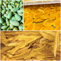 Gedroogde Mango Slices, Zachte Kauwbare Fruitsnack voor Groothandel & Voedingsmiddelen Grondstof