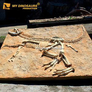 Esqueleto fósil dinosaurio Velociraptor realista My Dino Mundo Jurásico de los años 2000 - Product Image 5