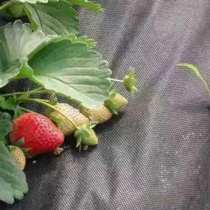 Materiales Agrícolas, Tela de Malla No Tejida, Tela de Control de Malezas, Entretela Negra, 100% Polipropileno, Recubierta de PE de Alta Resistencia, <span class=keywords><strong>110</strong></span> - Product Image 4